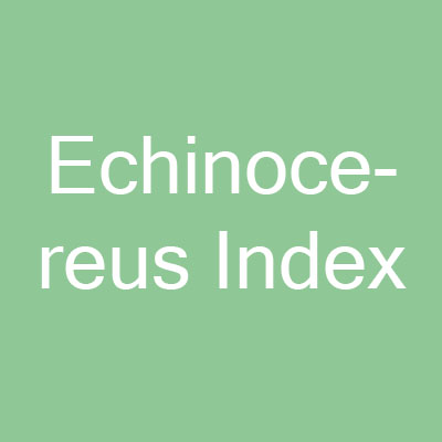 Echinocereus Online - Kategorie Echinocereus Index