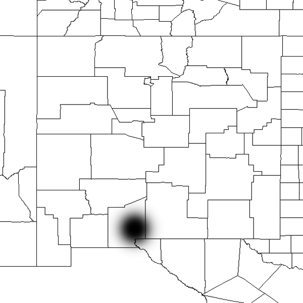 Echinocereus chloranthus, USA, New Mexico, Dona Ana County