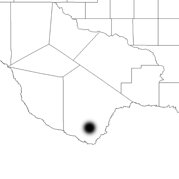 Echinocereus russanthus, USA, Texas, Brewster County