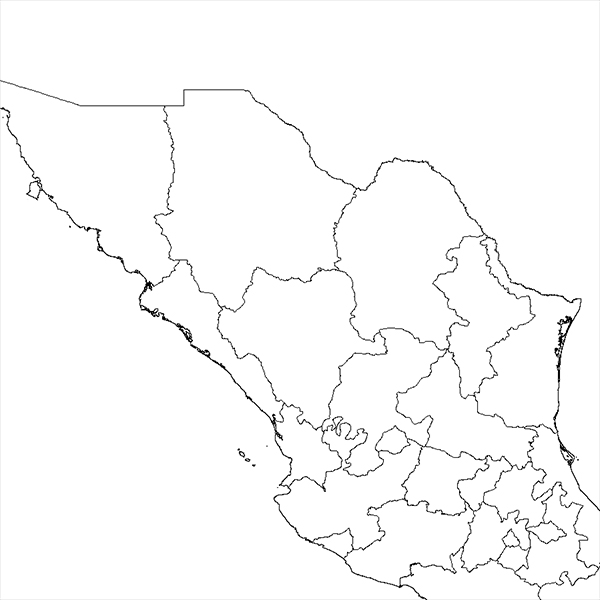 Echinocereus pectinatus, Mexico, „Delante“