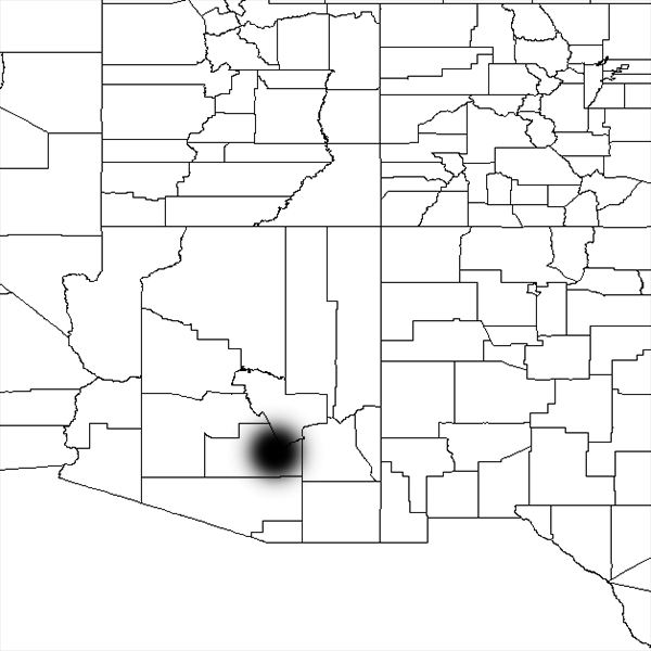 chinocereus engelmannii subsp. fasiculatus, USA, Arizona, Pinal County