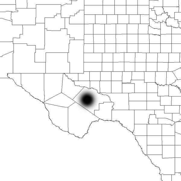Echinocereus xlloydii, USA, Texas, Pecos County