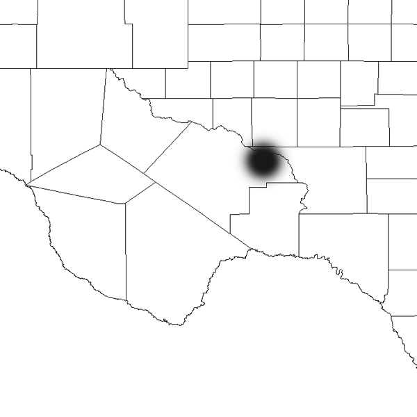 Echinocereus dasyacanthus, USA, Texas, Pecos County