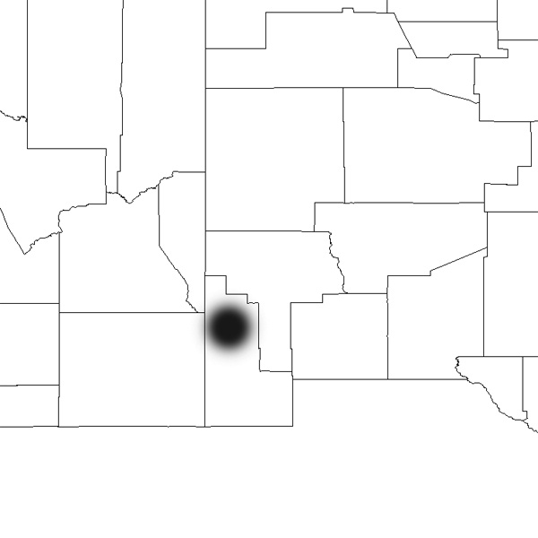 Echinocereus fendleri, USA, New Mexico, Hidalgo County